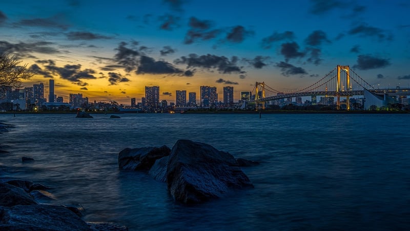 Tokyo city lights